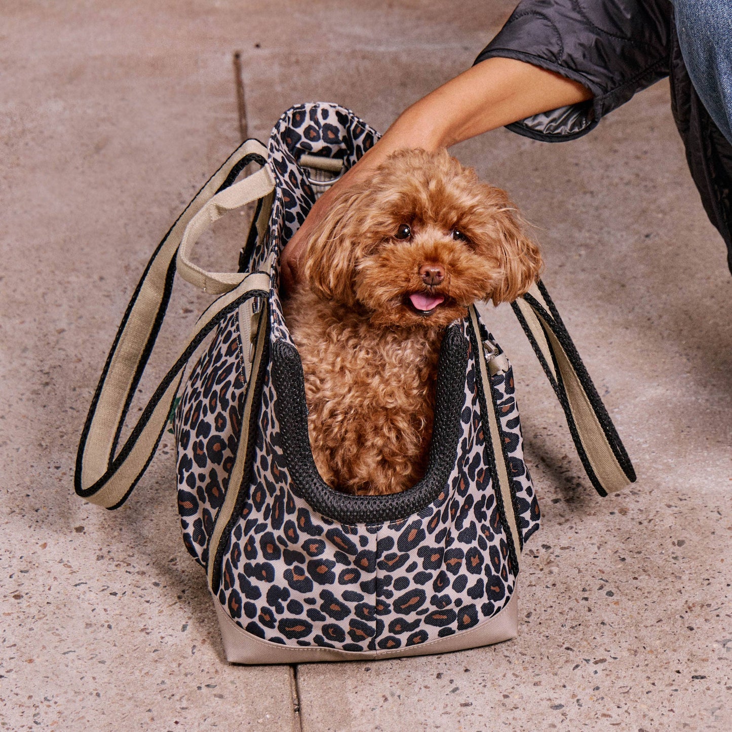 Cleverpup - Transit Tote Dog Carrier