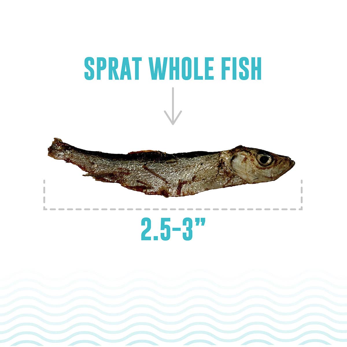 Icelandic+ - Sprat Whole Fish Dog Treats