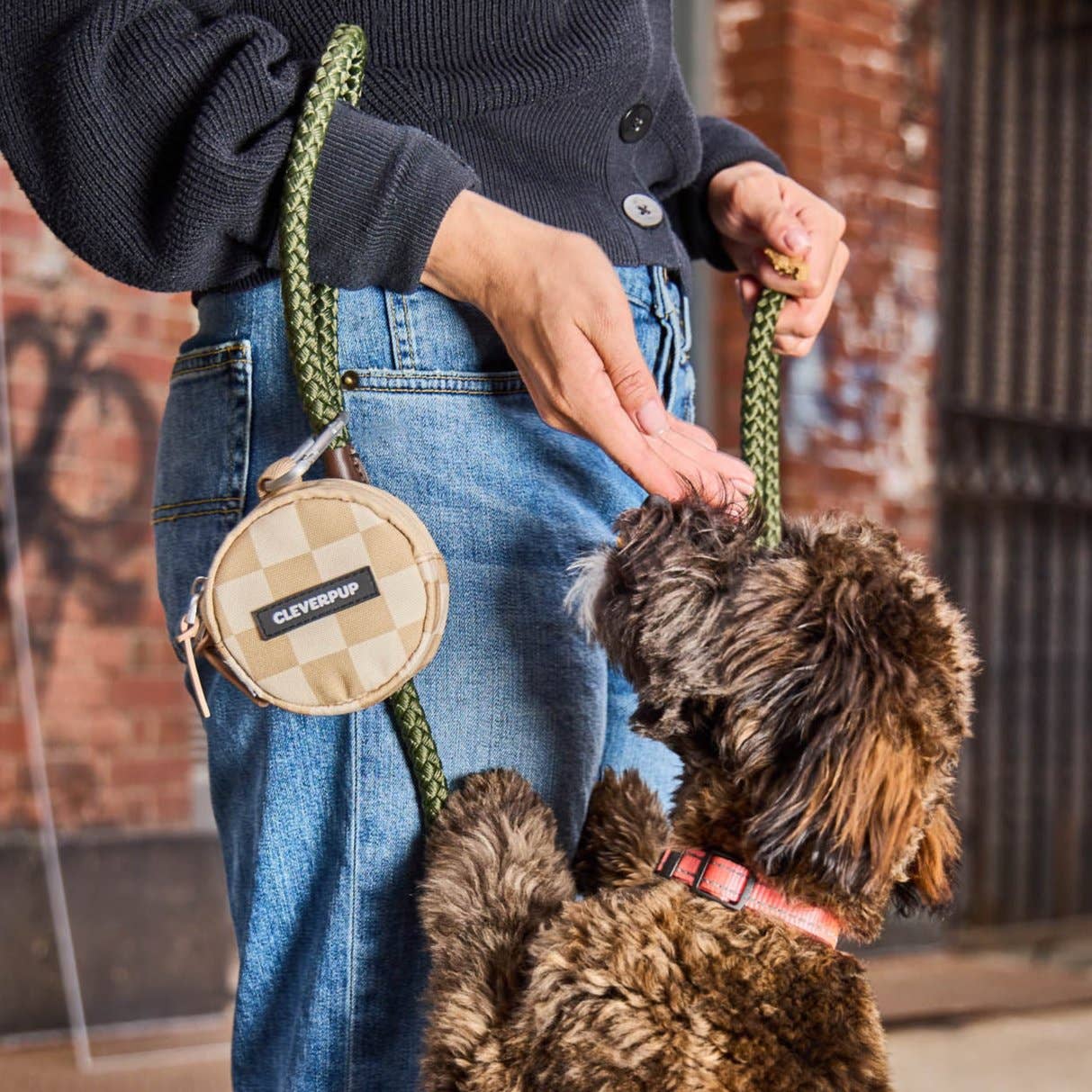 Cleverpup - Snackpack Double Insulated Dog Treat Pouch