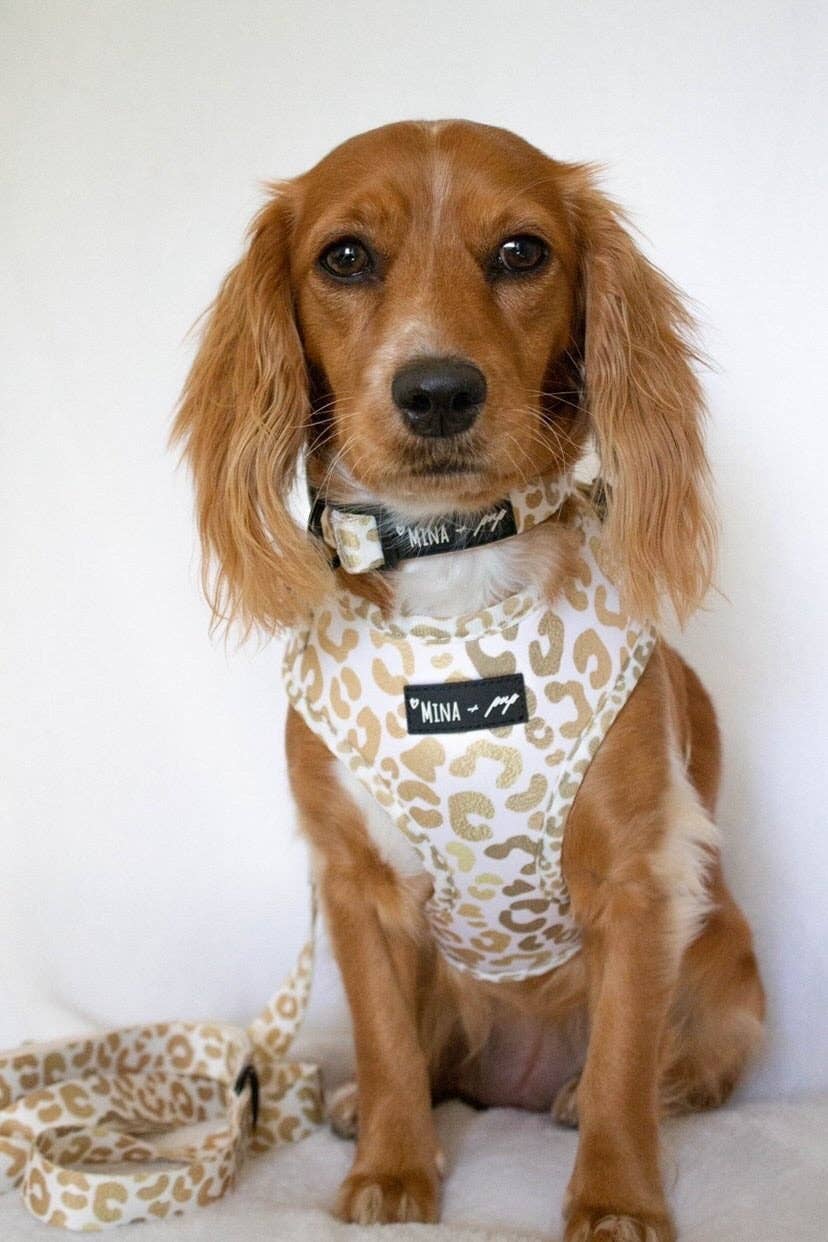 Mina + Pup - You're So Golden Adjustable Harness NOW IN XXS TOO
