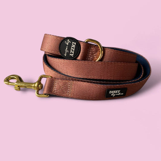 Dizzy Dog Collars - The Coco Dog Leash | Fully Padded Dog Leash - Large Lead (2.5cm x 152cm)