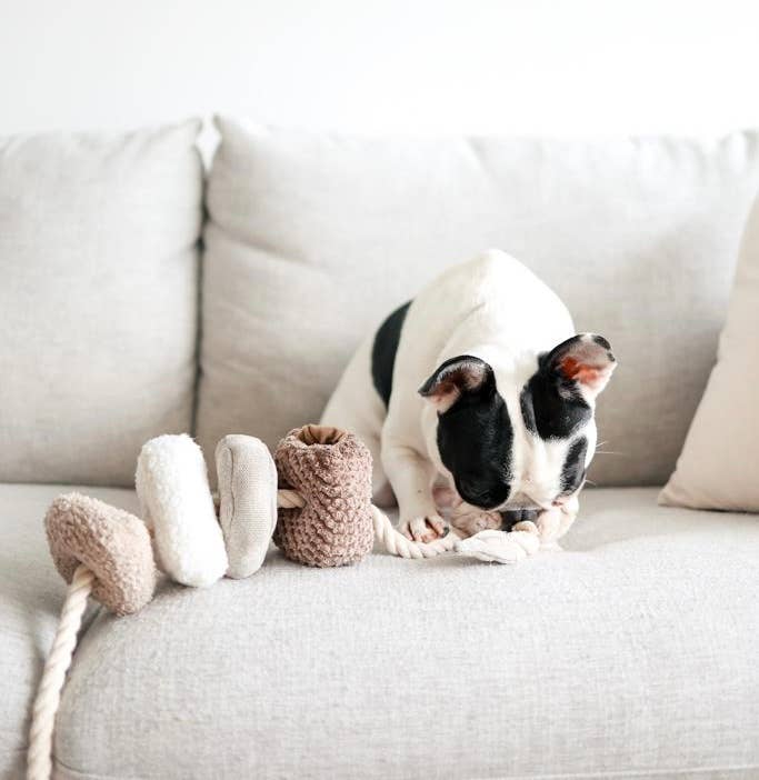 Lambwolf Collective - BLOCS//ENRICHMENT DOG TOY // NUDE - NUDE