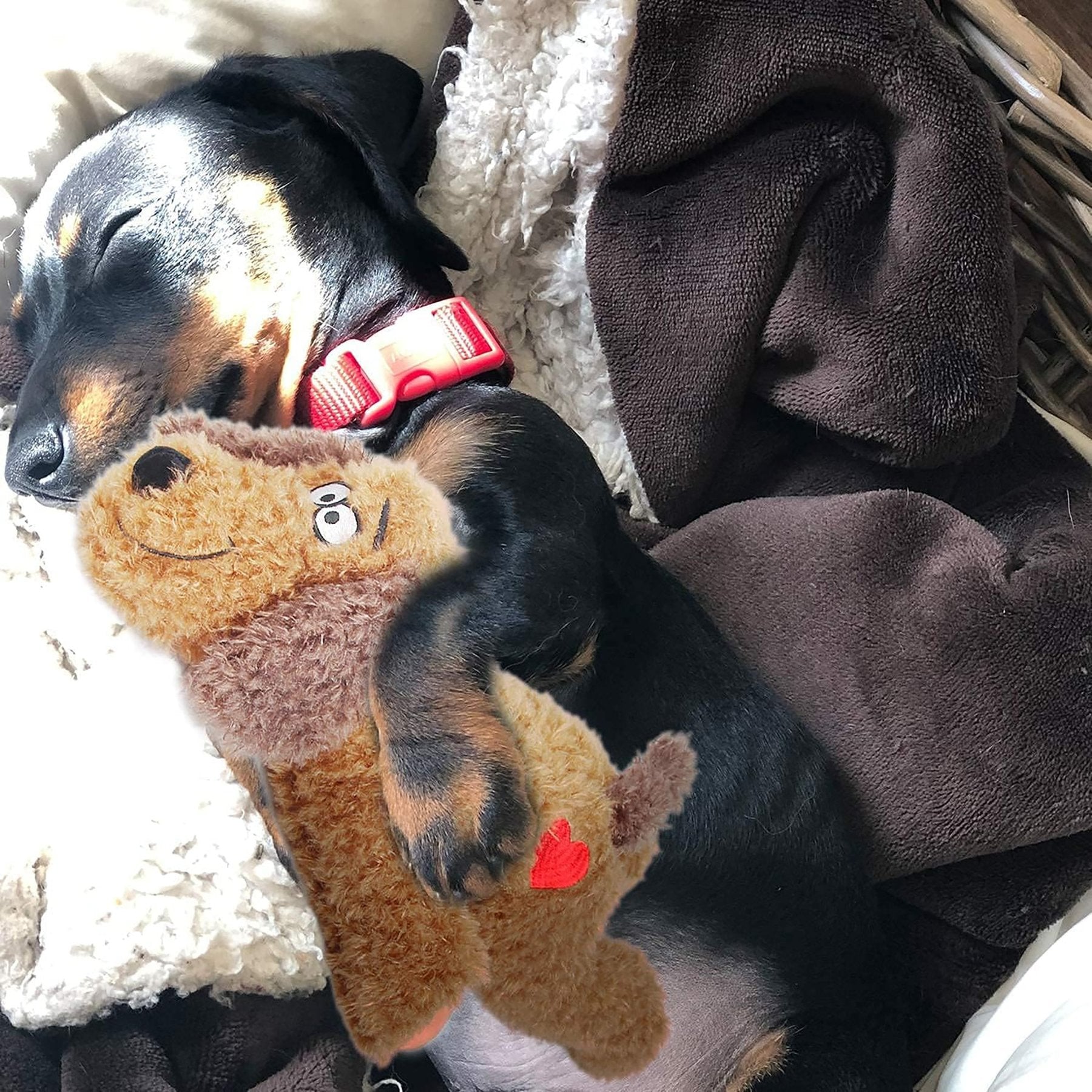 Calming Pals-Dog Toy Anti Anxiety Plush Buddy - Doot's Pet LLC Collars For A Cause