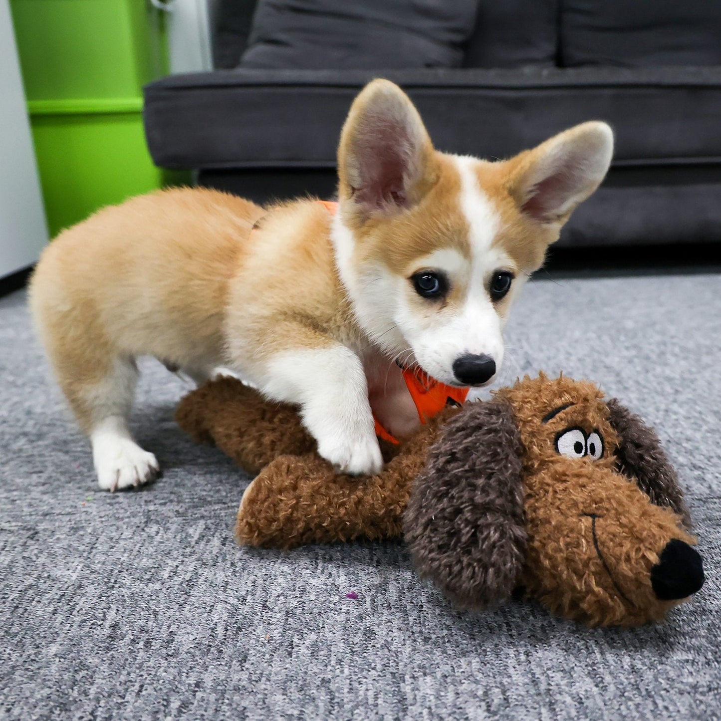 Calming Pals-Dog Toy Anti Anxiety Plush Buddy - Doot's Pet LLC Collars For A Cause