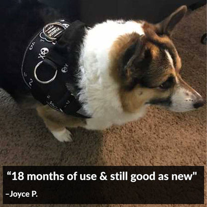 Joyride Harness - Skulls Joyride Basic Essential Dog Harness 1.0 - XL
