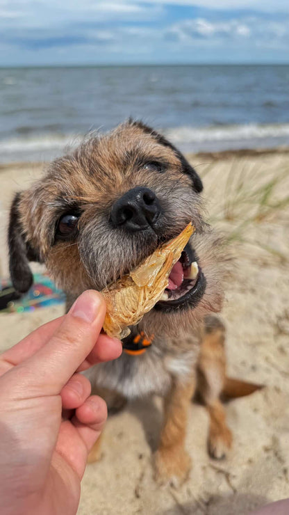Doot's Chew Bar - Golden Nibbles - Large Prawn/Shrimp - Single Freeze-Dried