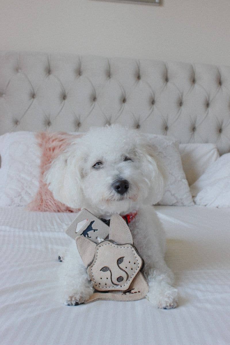 Tall Tails - Tall Tails Natural Leather & Wool Fox Toy - 4"