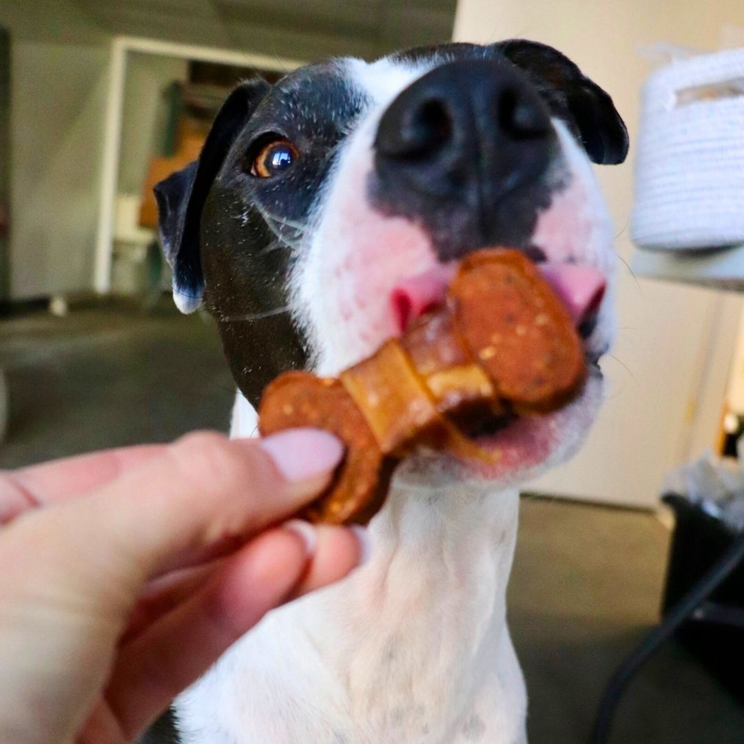 Chicken Wrapped Sweet Potato Bones - Doot's Pet LLC Collars For A Cause