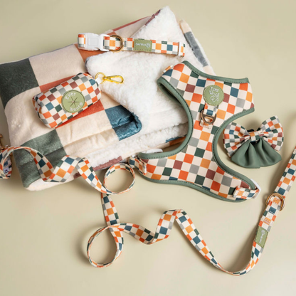 Sage & Cider Dog Blanket