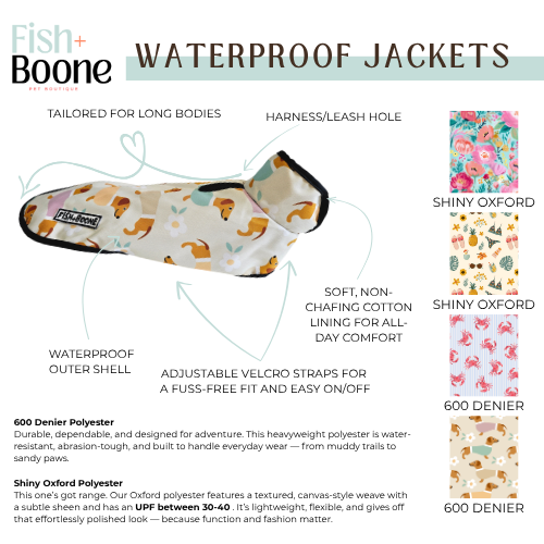 Dachshunds & Daisies Dog Coat - Doot's Pet LLC Collars For A Cause