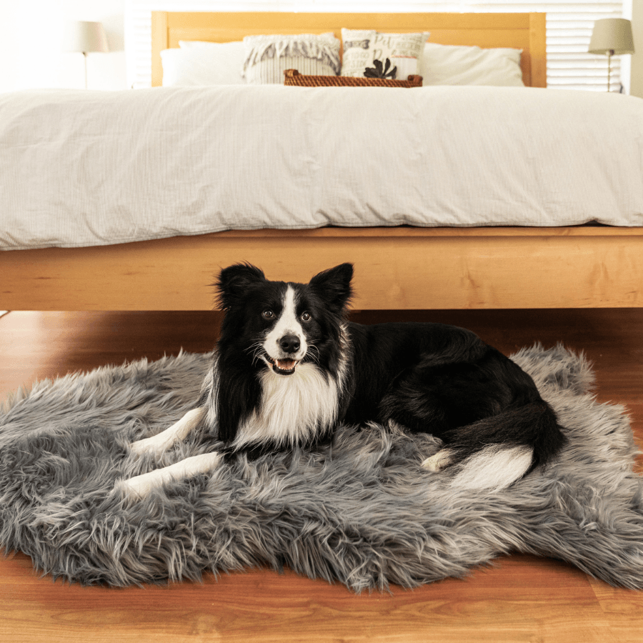 PupRug by Paw.com® Faux Fur Orthopedic Dog Bed - Curve Charcoal Grey - Doot's Pet LLC Collars For A Cause