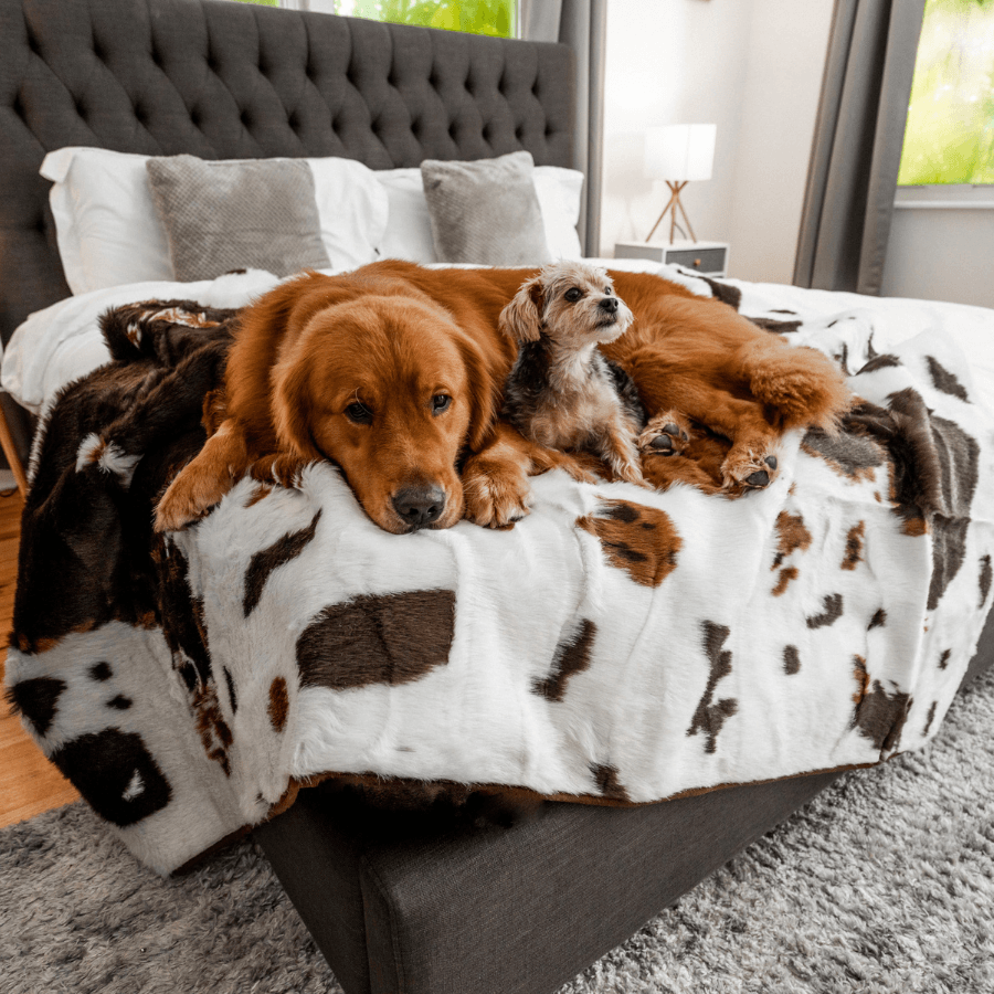 PupProtector™ Waterproof Throw Blanket - Brown Faux Cowhide - Doot's Pet LLC Collars For A Cause