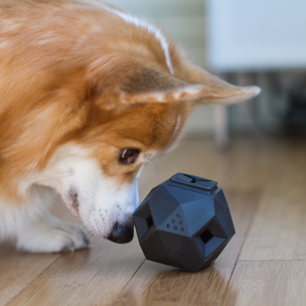 The Odin Treat Dispensing Toy For Dogs - Doot's Pet LLC Collars For A Cause