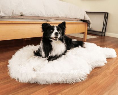 PupRug by Paw.com® Faux Fur Orthopedic Dog Bed - Curve Polar White - Doot's Pet LLC Collars For A Cause