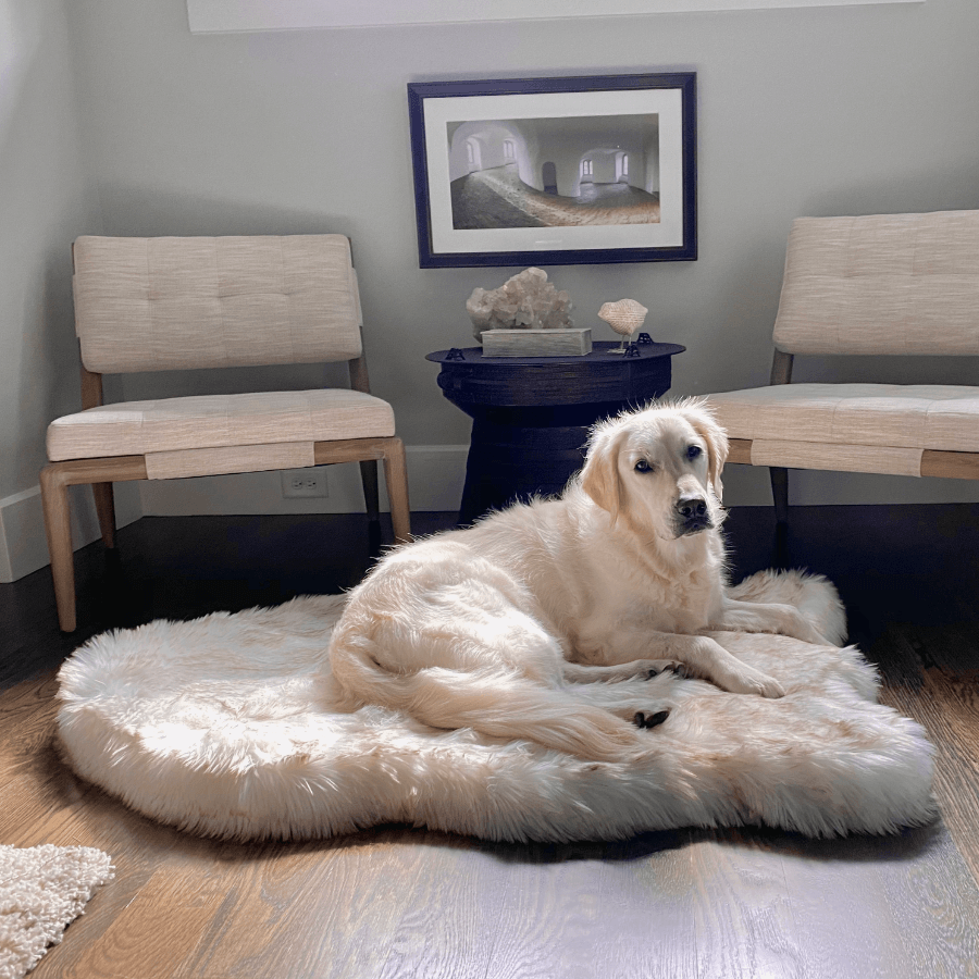 PupRug by Paw.com® Faux Fur Orthopedic Dog Bed - Curve White with Brown Accents - Doot's Pet LLC Collars For A Cause