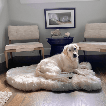 PupRug by Paw.com® Faux Fur Orthopedic Dog Bed - Curve White with Brown Accents - Doot's Pet LLC Collars For A Cause