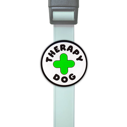 Jiby Dog Crew - Therapy Dog Jiby