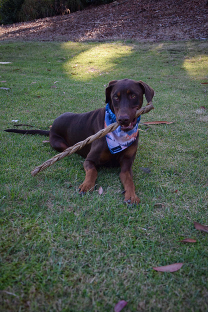 Doot's Chew Bar - Dogginstix - 24" Braided Lamb Collagen Sticks