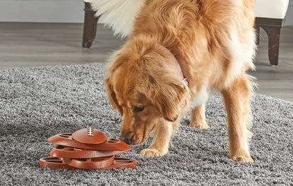 Hunger for Words and Brightkins - Brightkins™ Football Treat Puzzle