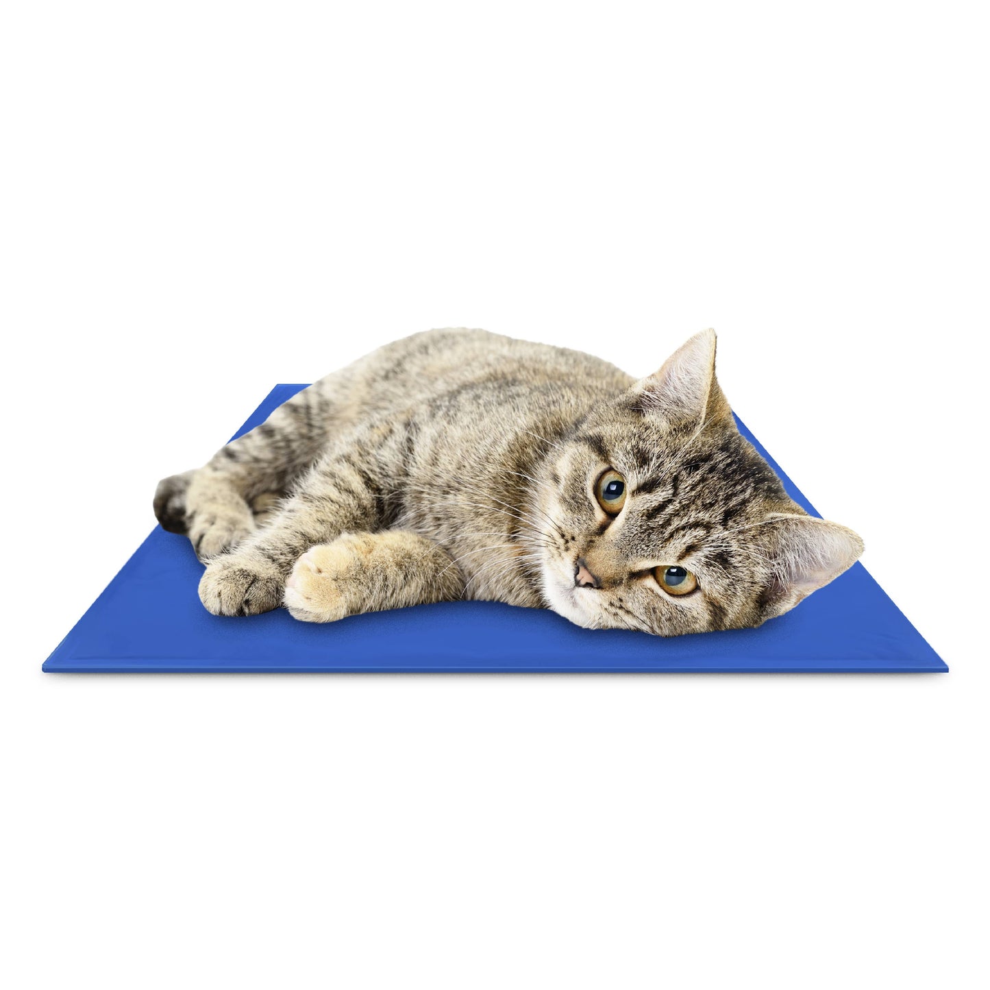 The Green Pet Shop - Chillz Gel Mat