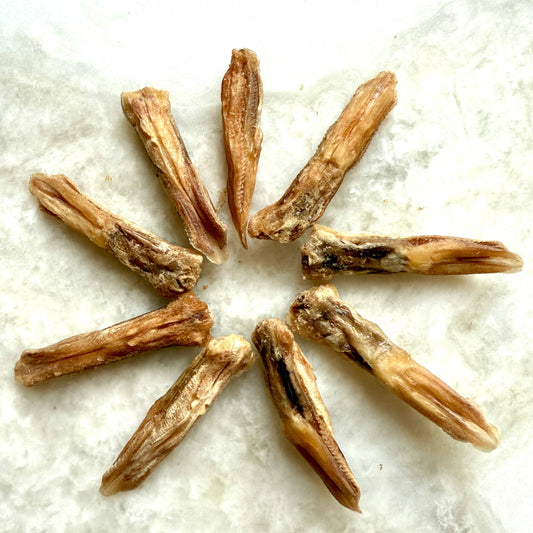Golden Nibbles - Duck Tongues - Pack of 5- Freeze-Dried Treats for Dogs & Cats