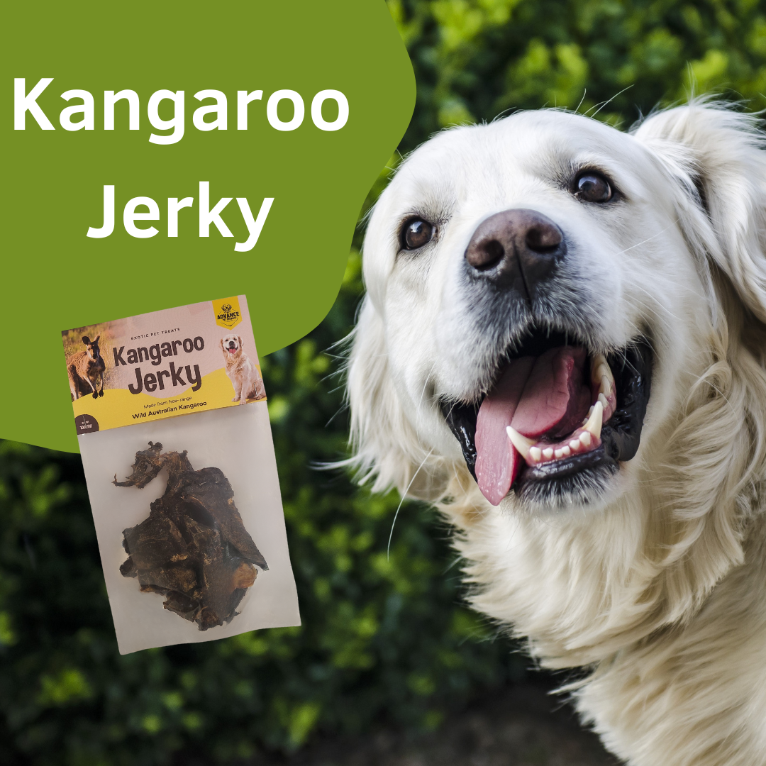 Bulk Bin Treats - Free-range Kangaroo Jerky - 2oz