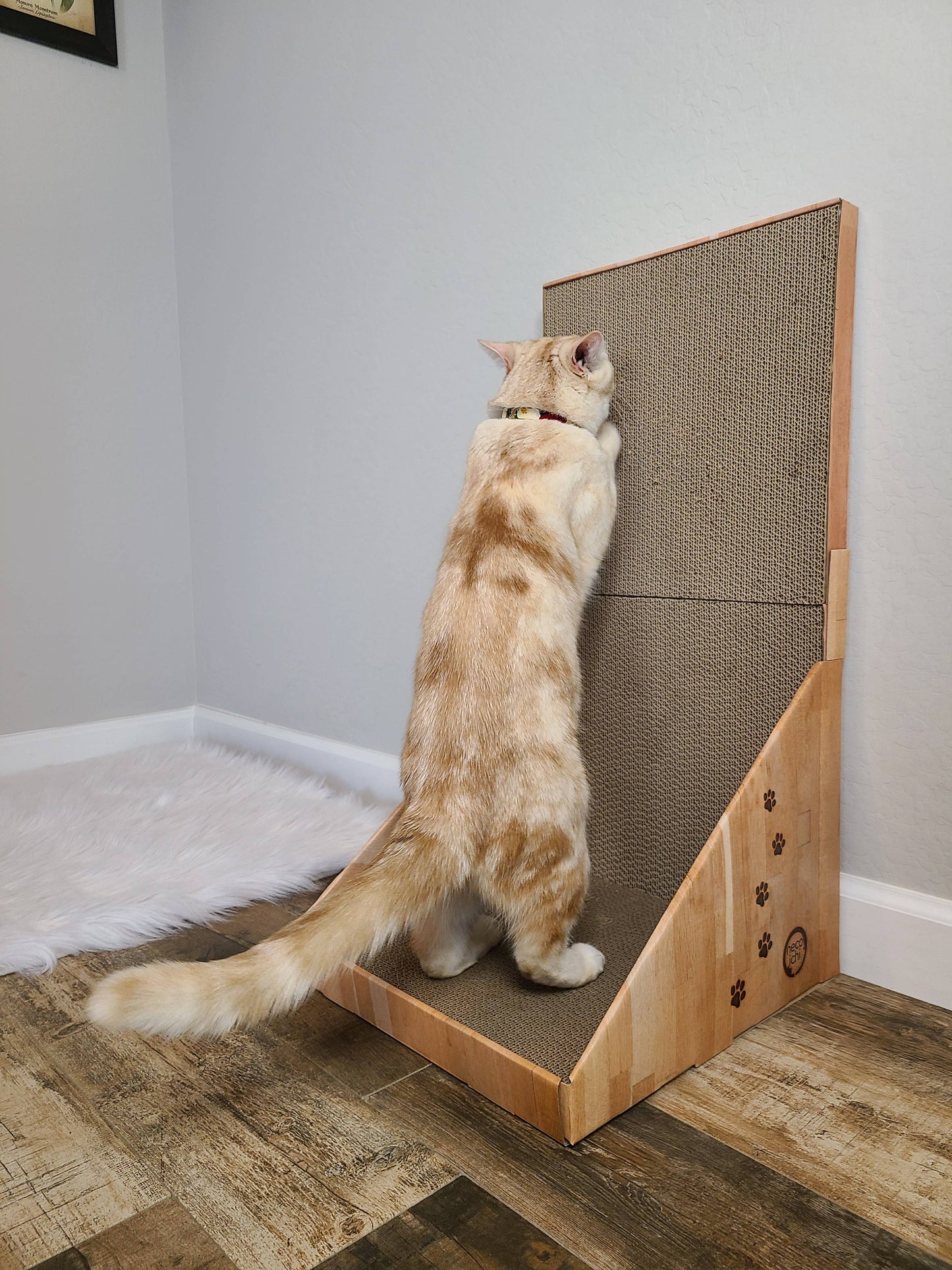 MOON-X USA, INC. - Stretch & Scratch Wall Cat Scratcher