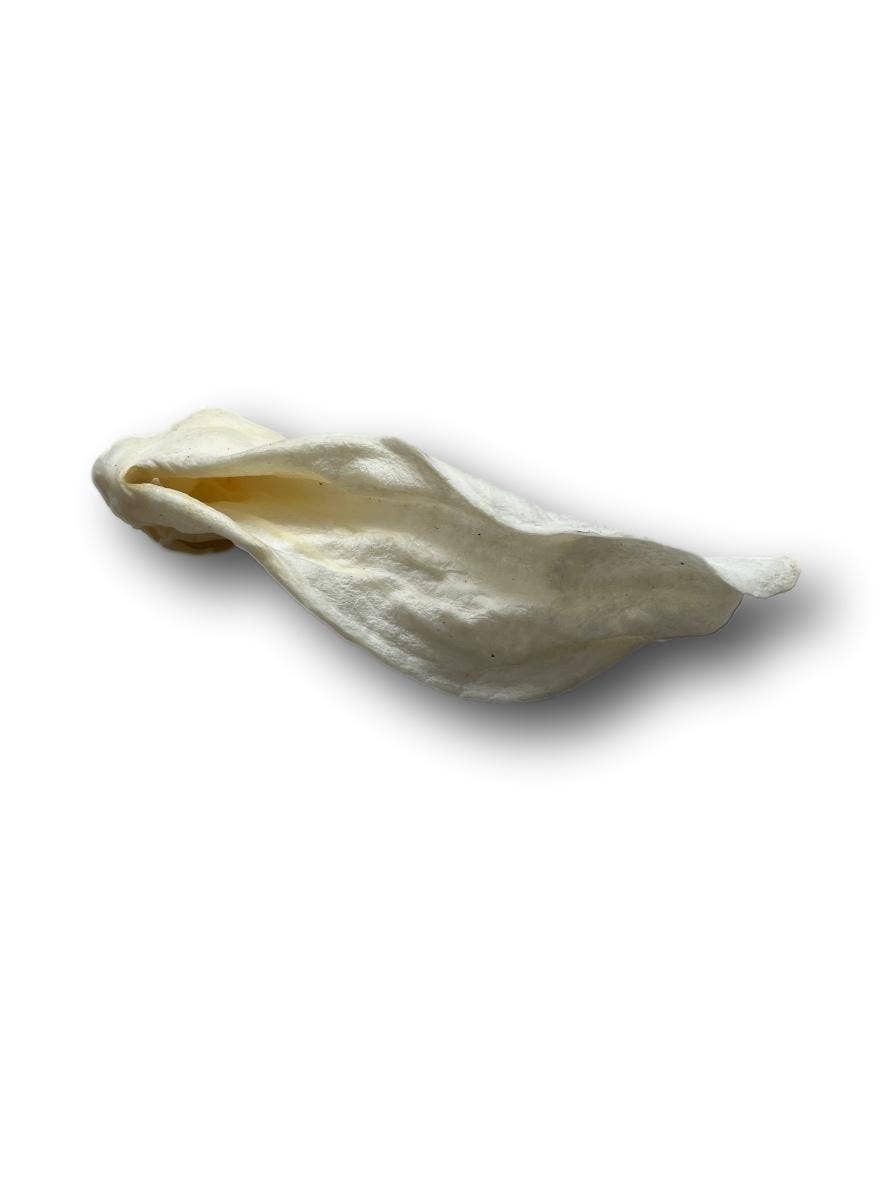 Healthy Dog Chews - Lamb Ears  (LB0100LE) - Single
