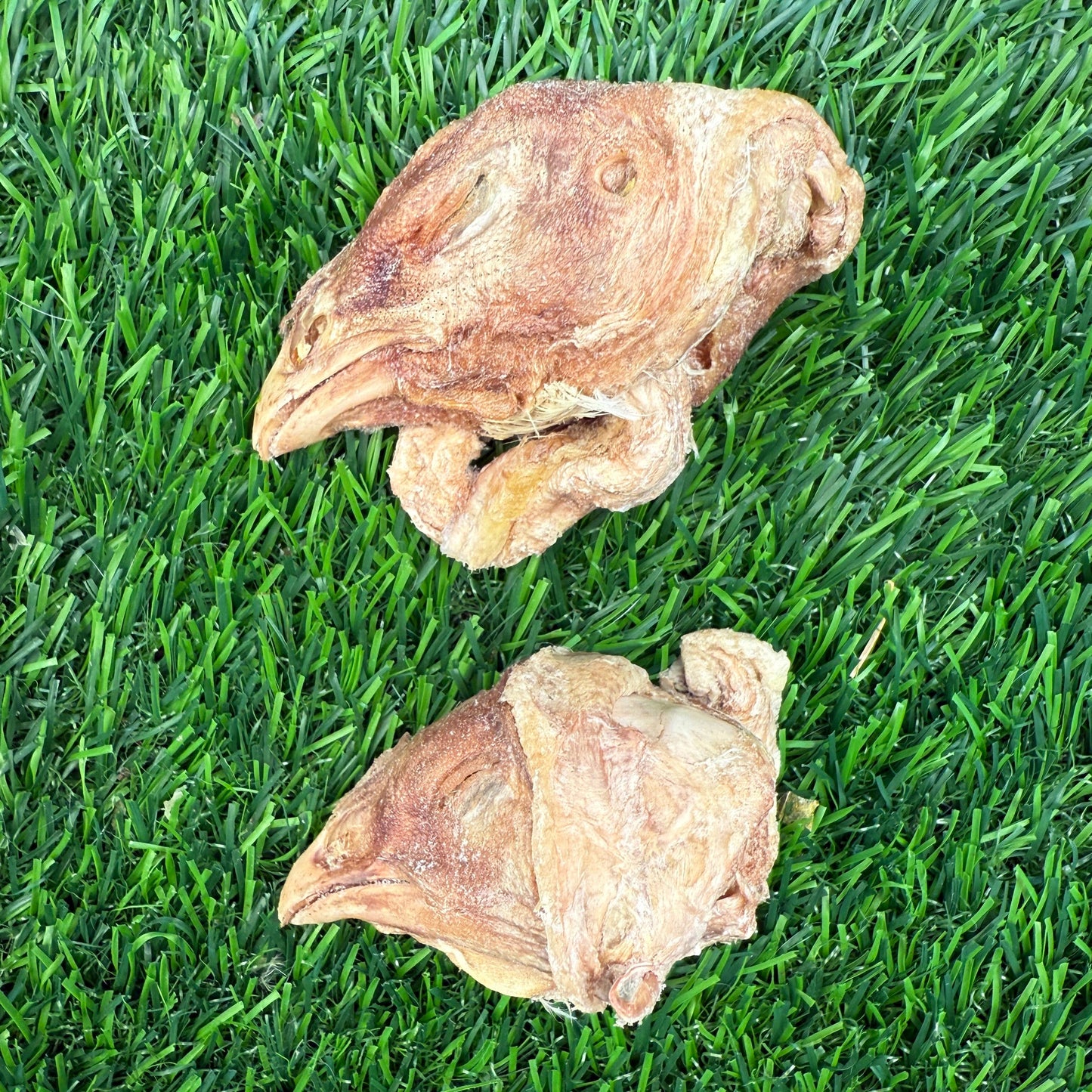 Doot's Chew Bar - Golden Nibbles- Chicken Head - Freeze-Dried Treat for Dogs