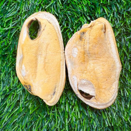 Doot's Chew Bar - Golden Nibbles - New Zealand Green-Lipped Mussel - Freeze-Dried  - 1 Mussel