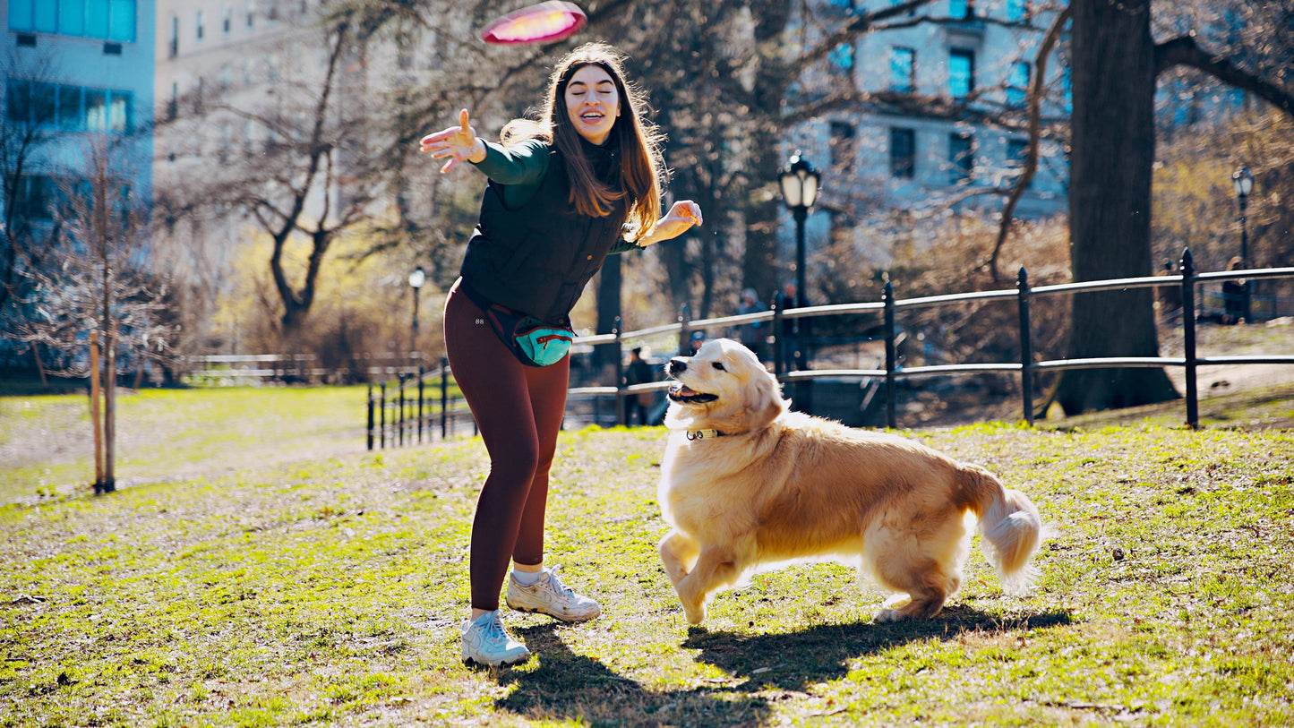 Tall Tails - GOAT Sport Flyer Disc Dog Toy - Large