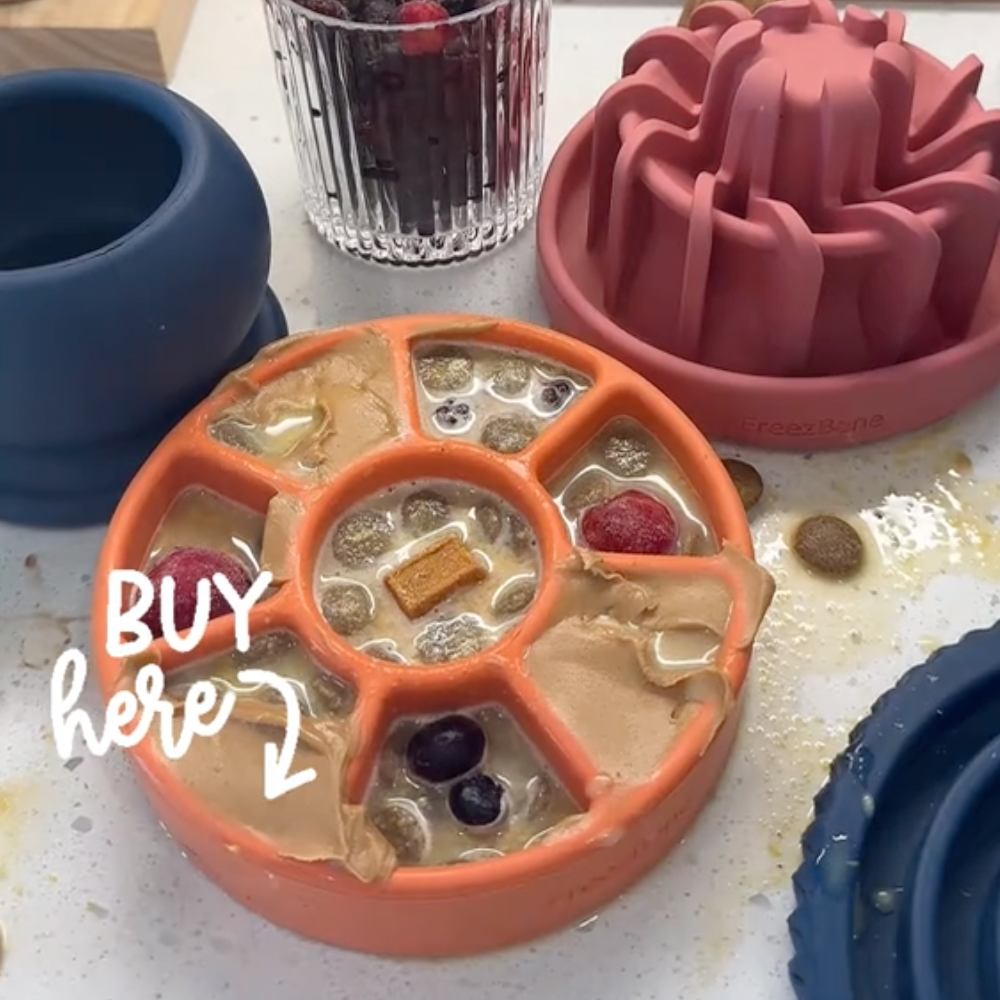 FreezWheel - Durable Interactive Chew - Doot's Pet LLC Collars For A Cause