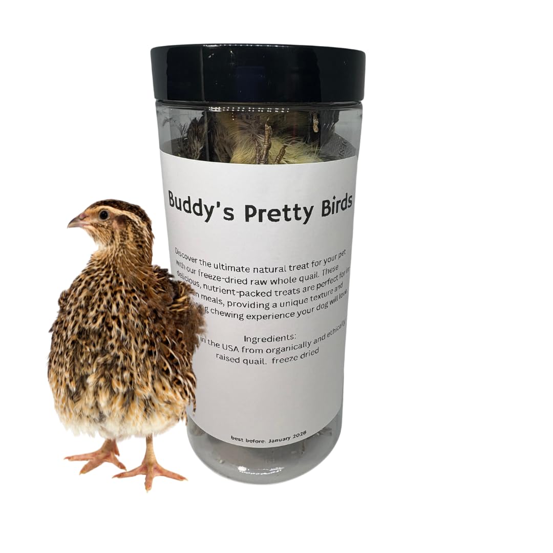 Bird Dog Training Quail - Premium Freeze-Dried Whole Quail for Dogs 5ct, Large (Chick) - Natural Prey Feeding Quality Protein Pet Treats - Doot's Pet LLC Collars For A Cause