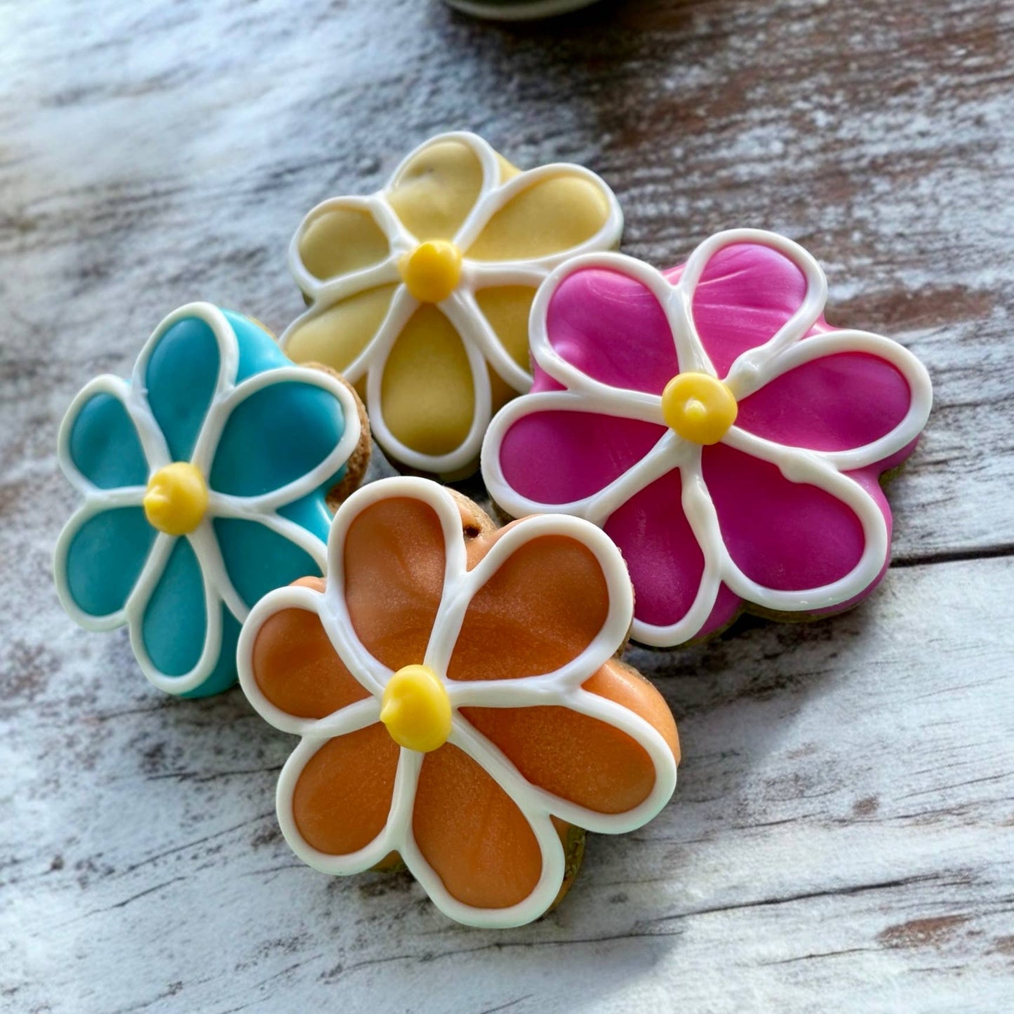 YumYum4DOGS - Mini Spring Flowers dog treat- Single - Doot's Pet LLC Collars For A Cause