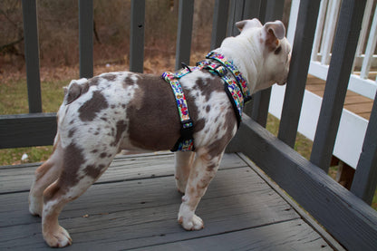 Mina + Pup - Colorful Graffiti Edition Adjustable Dog and Cat Harness