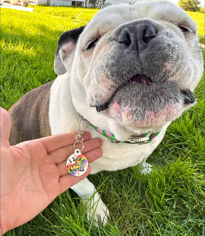 Bad Tags - Dog ID Tag with Personalized QR Code - I Bark at Cunts - Large / Engraved QR Code