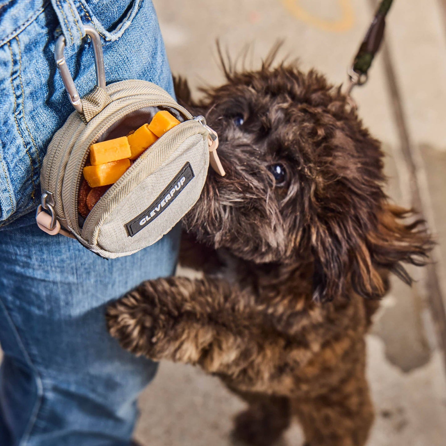 Cleverpup - Snackpack Double Insulated Dog Treat Pouch