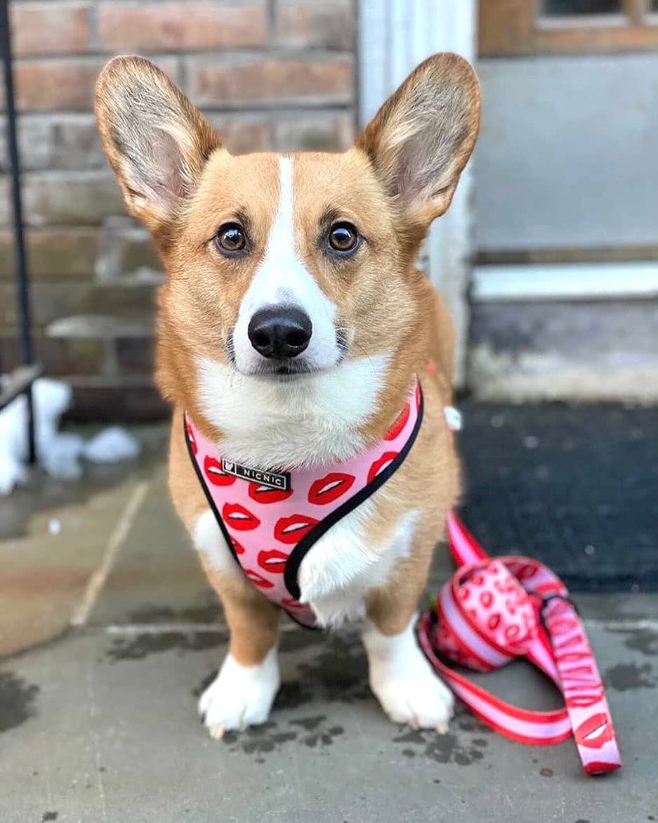 Luxury Red Lips Breathable Mesh Harness Chest Back + Traction
