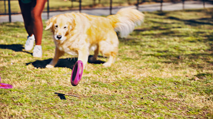Tall Tails - GOAT Sport Ring Dog Toy - Large