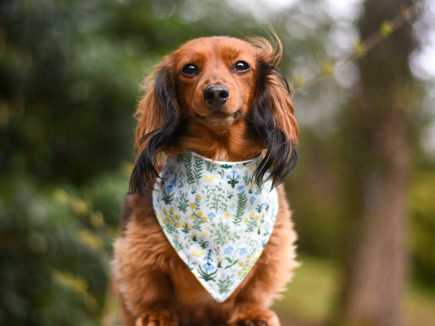 "B&W Halloween" Dog Bandana (Glow in the Dark)