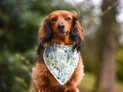 "Hot Cocoa" Dog Bandana