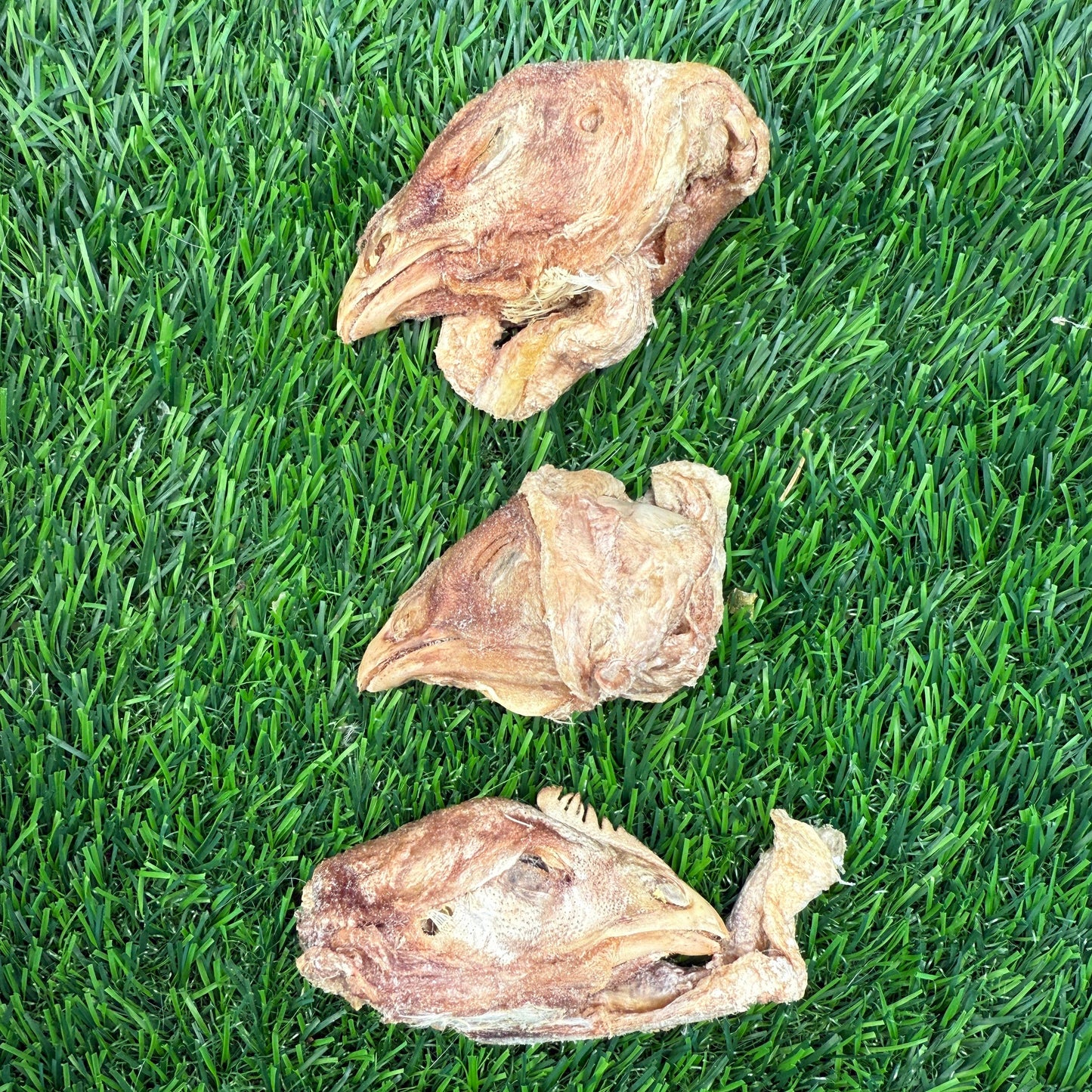 Doot's Chew Bar - Golden Nibbles- Chicken Head - Freeze-Dried Treat for Dogs