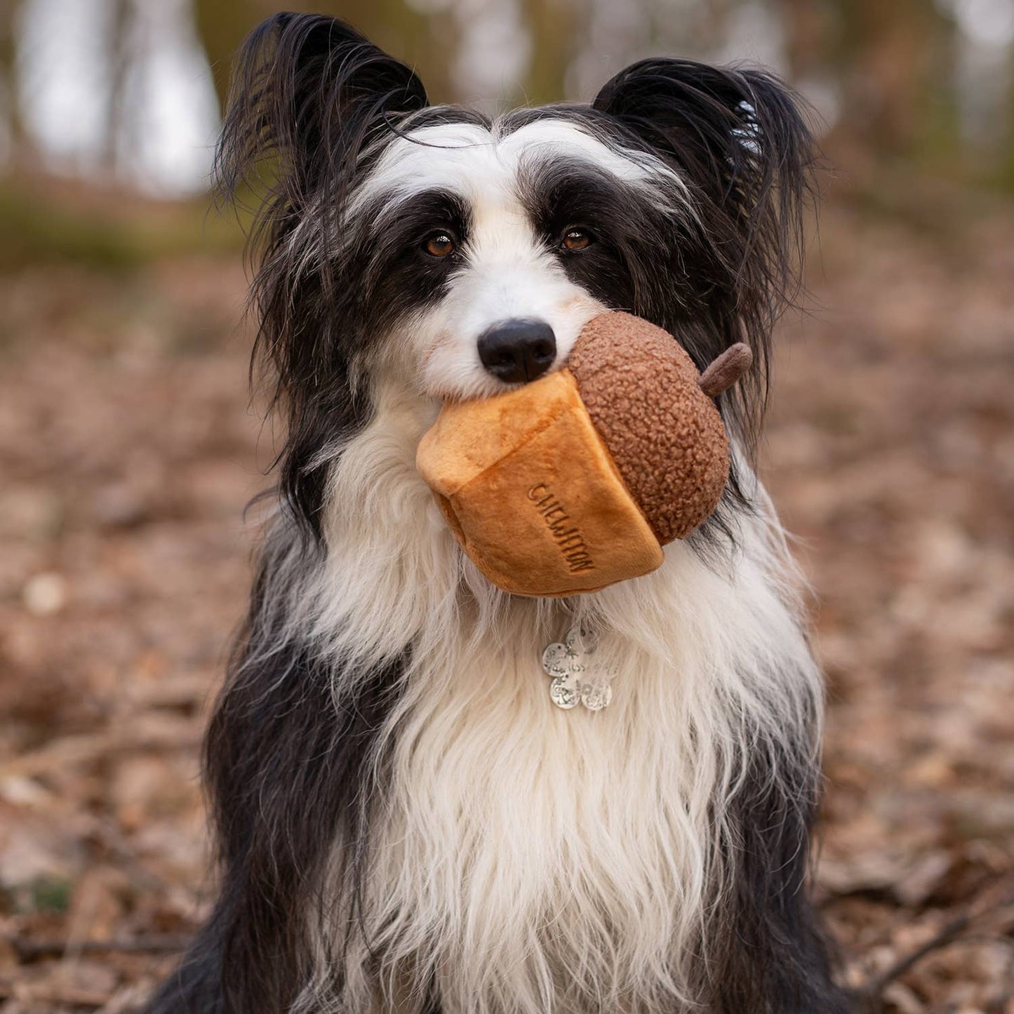 CHEWFFON - CHEWFFON Acorn Snuffle & Squeaky Dog Toy