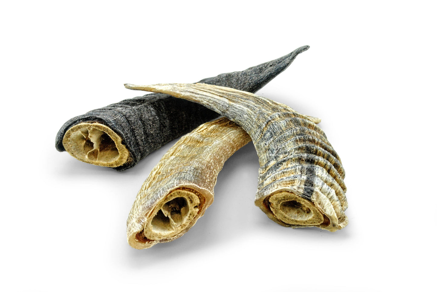 Doot's Chew Bar - Icelandic+ Small Lamb Horn with Marrow Dog Treat