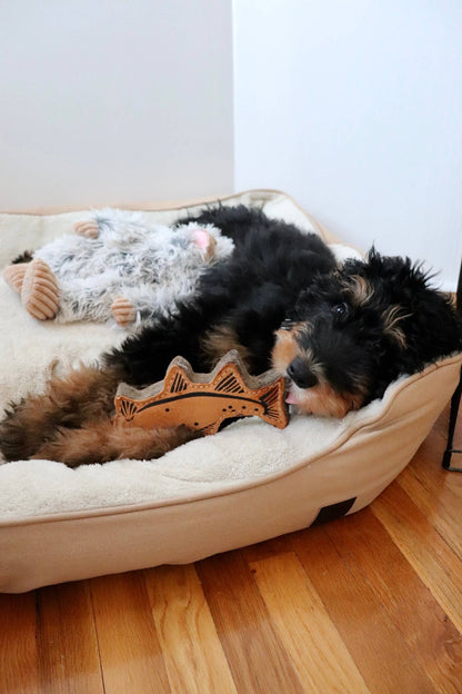 Tall Tails - Tall Tails Natural Leather Trout Tug Dog Toy - 16"