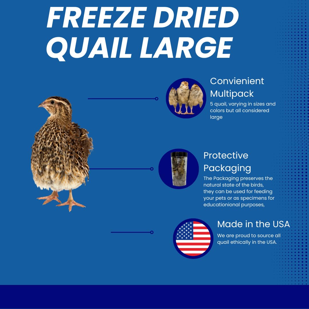 Bird Dog Training Quail - Premium Freeze-Dried Whole Quail for Dogs 5ct, Large (Chick) - Natural Prey Feeding Quality Protein Pet Treats - Doot's Pet LLC Collars For A Cause