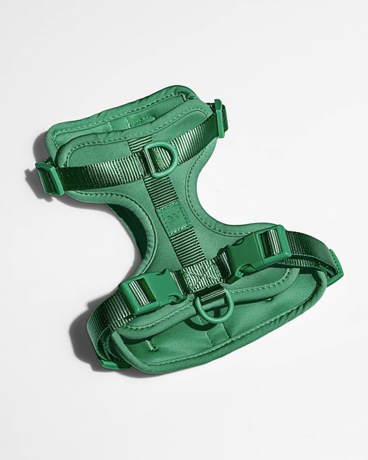 Wild One - Adjustable Comfort Dog Harness - Spruce