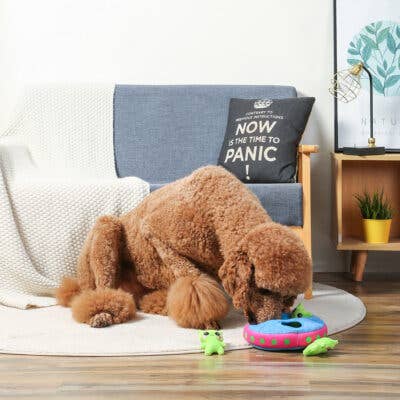 Hugsmart Products Inc - HugSmart Pet - Space Paws | Aliens - Interactive Toy