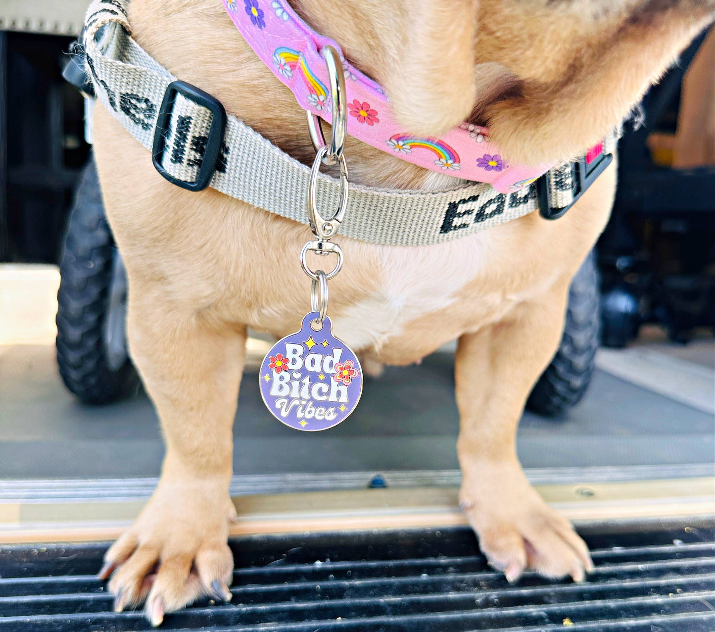 Bad Tags - Dog ID Tag with Personalized QR Code - Bad Bitch Vibes - Pink / Small 1" / Engraved QR Code