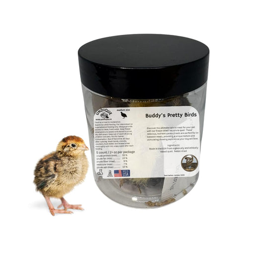 Whole Quail Chick for Carnivore Pets - Natural Prey Feeding - Quality Protein Source Medium Size Chicks 5 Count - Doot's Pet LLC Collars For A Cause